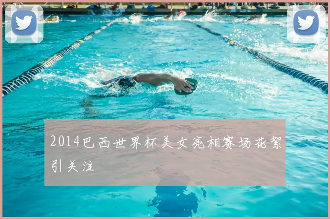 2014巴西世界杯美女亮相赛场花絮引关注