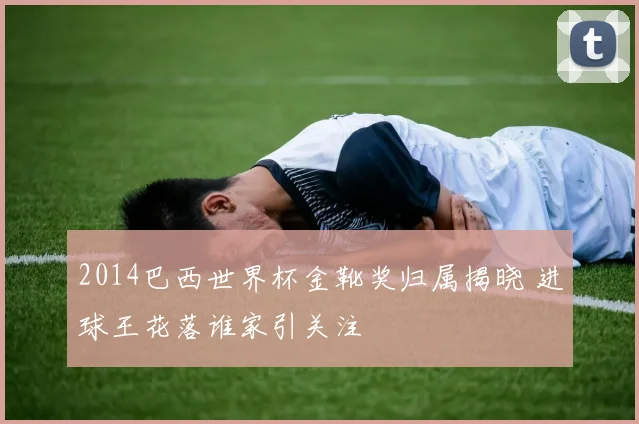 2014巴西世界杯金靴奖归属揭晓 进球王花落谁家引关注