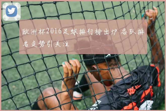 欧洲杯2016足球排行榜出炉 各队排名走势引关注