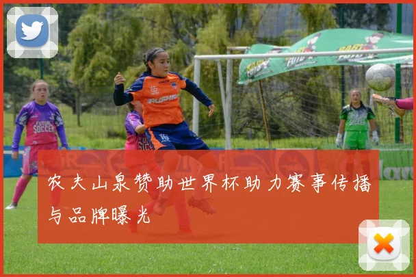 农夫山泉赞助世界杯助力赛事传播与品牌曝光