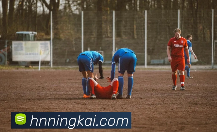 企业概况
