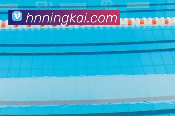 App Interface Preview